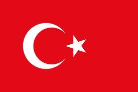 Yeniliki  Fikirleri,bulular,Fikir